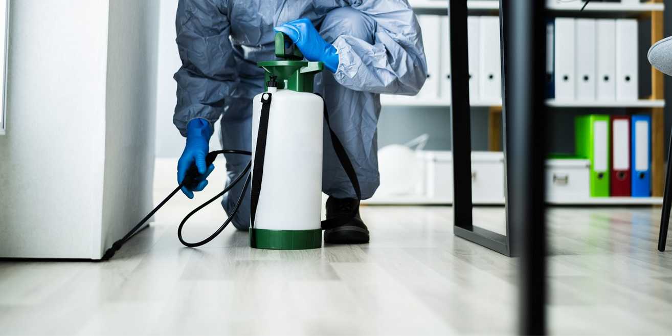 Preview image published by acexterminators.com